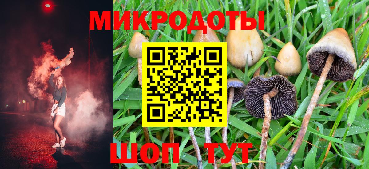 Псилоцибиновые грибы Cubensis Новый Уренгой