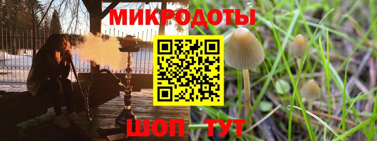 Новый Уренгой  Галлюциногенные грибы мухоморы  Галлюциногенные грибы мухоморы  Вход с VPN 